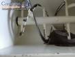 Misturador ribbon blender em a�o carbono Silver 150 litros