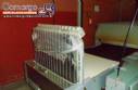 Forno industrial rotativo el�trico fabricante Fornimaq