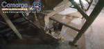 Linha cont�nua de macarr�o 600 Kg / hora Indiana