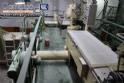 Linha para fabrica��o massa seca Pavan 400 kg por hora