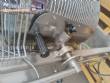 Tacho misturador de cozimento � g�s Granomaq 70 litros