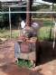 Fabrica de cacha�a