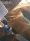 Seladora em L com t�nel Rodighero