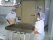 Desidratador alem�o Bernauer
