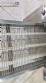 Formadora de hamb�rguer em inox Sampafi 45 unidades por minuto