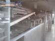 Linha completa Zumec para fabrica��o de massa curta