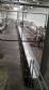Linha macarr�o instant�neo lamen
